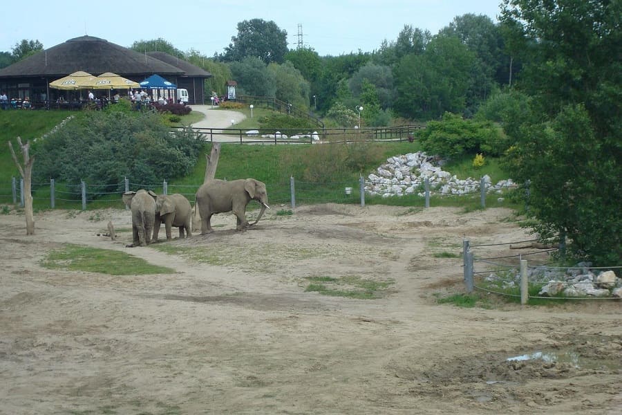 zoo poznań